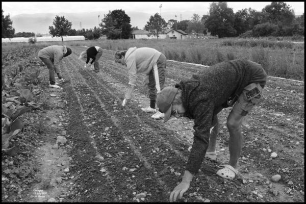 Cocagne_17_July_2020_PSRS_cM.Merne_DSF5756r Cocagne_17_July_2020_PSRS_cM.Merne_DSF5756r