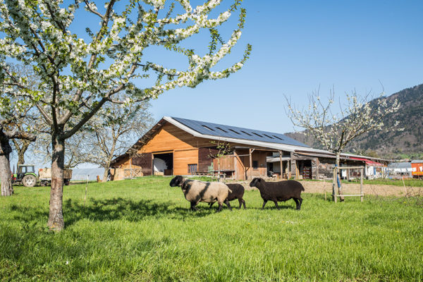 Romain_Huck_MZ4 Romain_Huck_MZ4