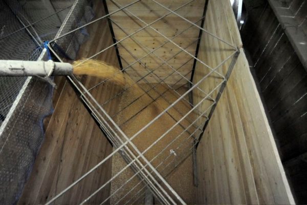 cellule-a-grain Remplissage de la cellule par du ble (photo Yannick) (Remplissage de la cellule par du ble