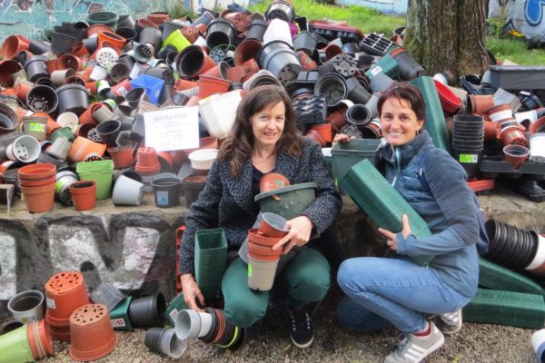 defricheuses1 defricheuses1