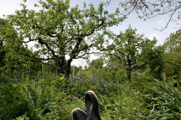 vergers d epicure vergers d epicure