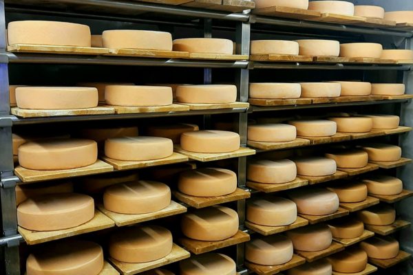 20221119_183934 20221119_183934