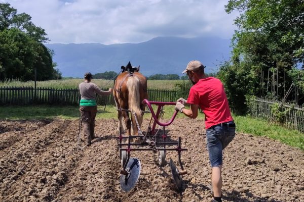 IMG-20230613-WA0000 IMG-20230613-WA0000