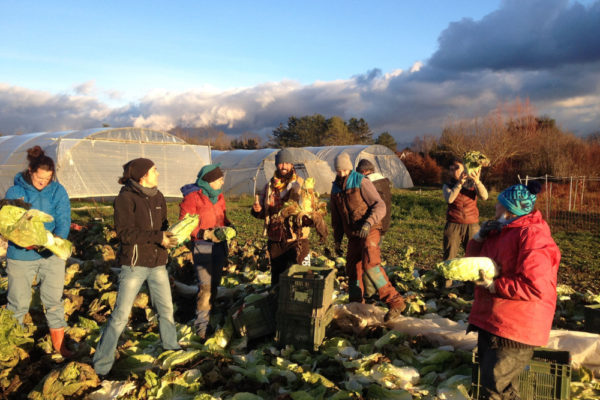 equipeCocagne equipeCocagne