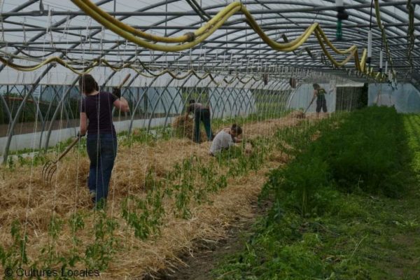 facebook_1686812598554_7075004829367315229 facebook_1686812598554_7075004829367315229